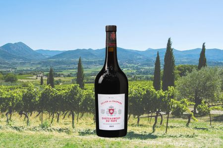 Cellier des Dauphins Cru Châteauneuf-du-Pape AOC 17