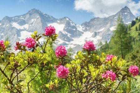 Met Thema Travel naar Oostenrijk